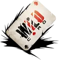 Studio Wildcard