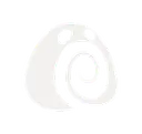 Cinnamon